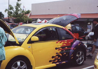 Debbie_from_New_Braunsfels.jpg (42577 bytes)