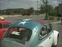 Steen1_m.jpg (10616 bytes)