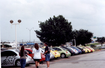 The_Dallas_gathering_copy.jpg (34079 bytes)